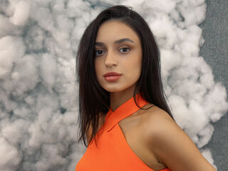Model Image