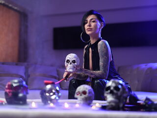 Model Image