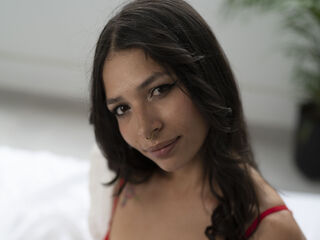 Model Image