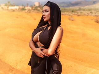 Model Image