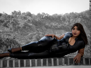 Model Image