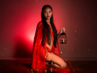 Model Image
